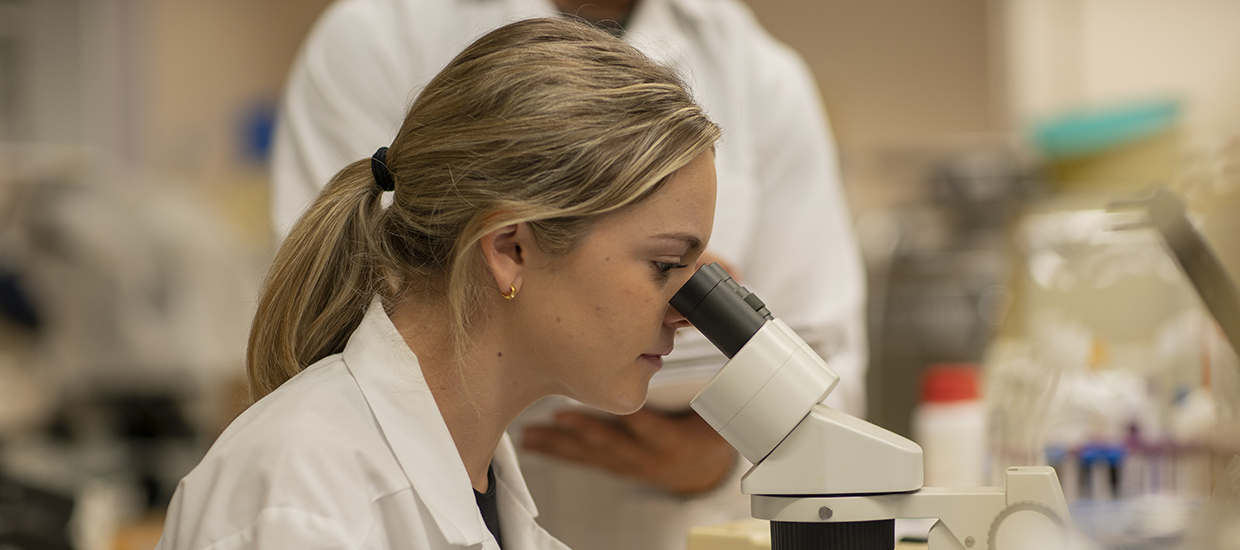 Student using a microscope