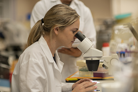 Student using a microscope