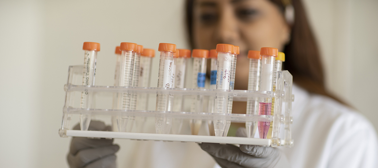 engineer holding up collection of test tubes