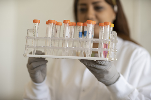 engineer holding up collection of test tubes